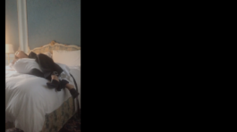 DOMINIK SCHEFER VISUAL DESIGN