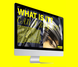 DOMINIK SCHEFER VISUAL DESIGN