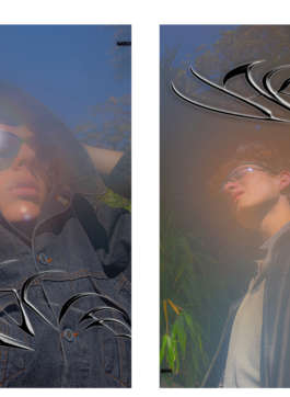 DOMINIK SCHEFER VISUAL DESIGN