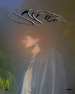 DOMINIK SCHEFER VISUAL DESIGN